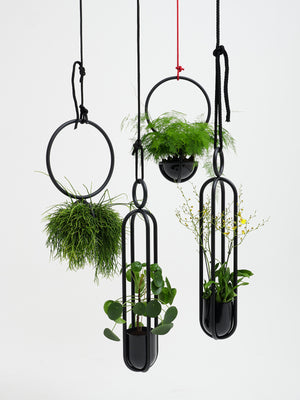 Blumenampel