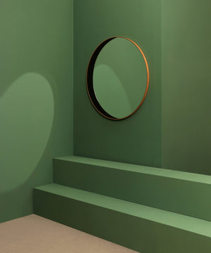Orca Mirror