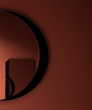 Orca Mirror