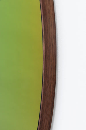 Chameleon Mirror
