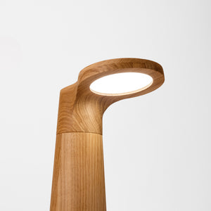 Studio Lamp