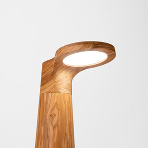 Studio Lamp