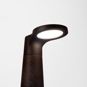Studio Lamp