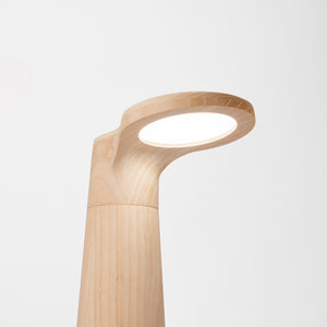 Studio Lamp